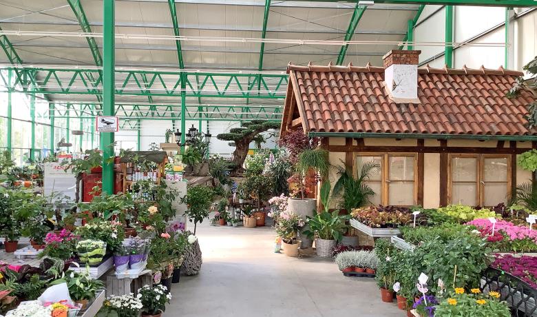 Thermoflor - garden center in Poland Halupczok